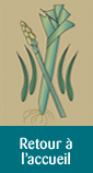 [Logo]